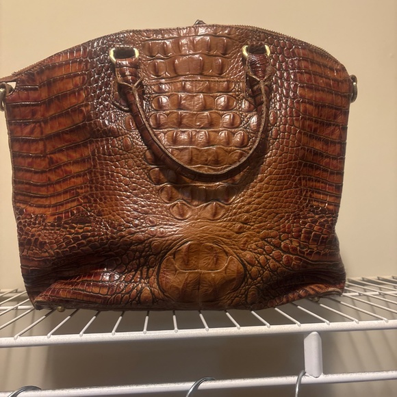 Brahmin - Picture 4 of 4